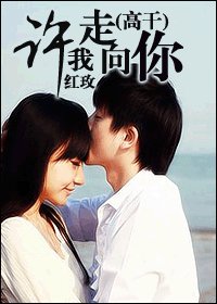 《许我走向你(高干)》