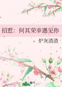 《招惹:何其荣幸遇见你》