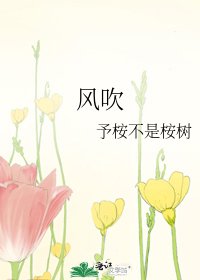风吹