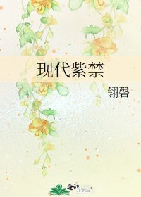 《现代紫尽》