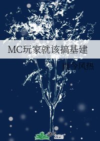 《MC玩家就该搞基建》
