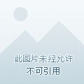榛香攻略