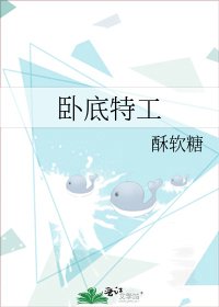 《卧底特工》