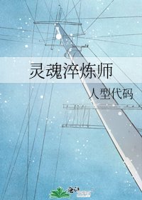 《灵魂淬炼师》
