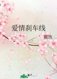 《爱情刹车线》