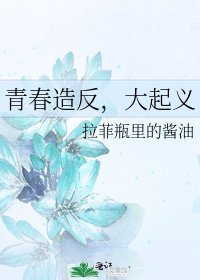 《青春造反,大起义》