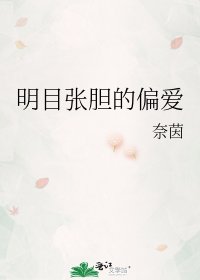 《明目张胆的偏爱》