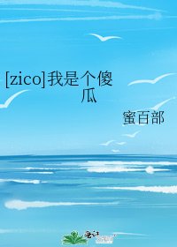 [zico]我是个傻瓜