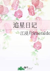 《追星日记》