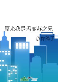 《原来我是玛丽苏之兄》