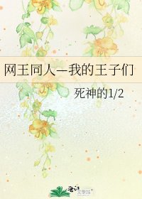 《网王同人—我的王子们》