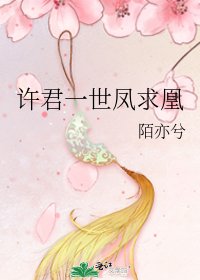《许君一世凤求凰》
