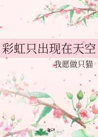 彩虹只出现在天空