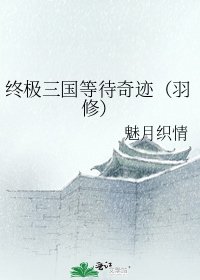 《终极三国等待奇迹(羽修)》