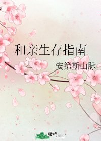 《和亲生存指南》