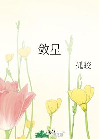 《敛星》