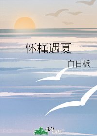 《怀槿遇夏》