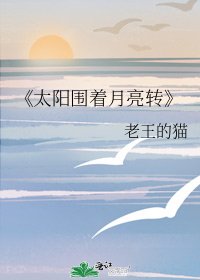 《太阳围着月亮转》