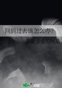 《回到过去该怎么办?》