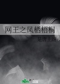 《网王之凤栖梧桐》