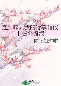《直到昨天我的行李箱依旧在外流浪》