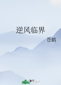 《逆风临界》