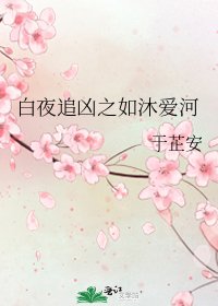 《白夜追凶之如沐爱河》