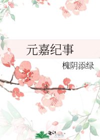 《元嘉纪事》