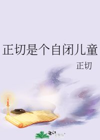《正切是个自闭儿童》