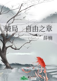 《骑局 自由之章》