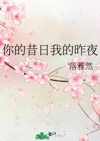 《你的昔日我的昨夜》