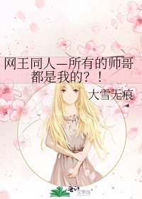 《网王同人—所有的帅哥都是我的?!》