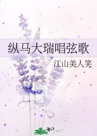 《纵马大瑞唱弦歌》