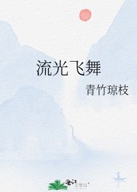 《流光飞舞》