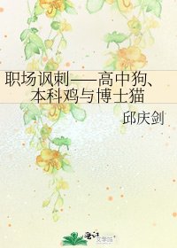 职场讽刺——高中狗、本科鸡与博士猫