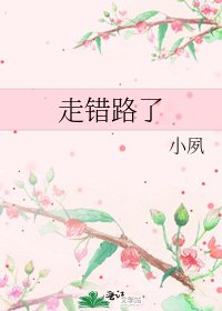 《走错路了》