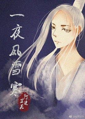 《一夜风雪寒》