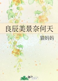 《良辰美景奈何天》