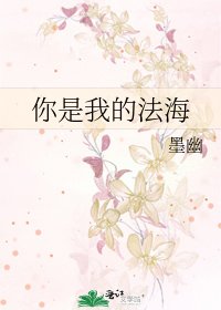 你是我的法海