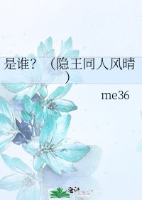 《是谁?(隐王同人风晴)》