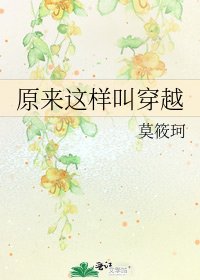 《原来这样叫穿越》