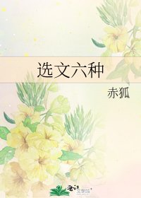 《选文六种》