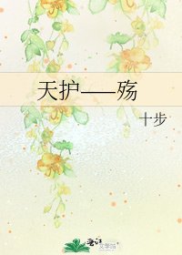 《天护——殇》