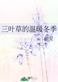 《三叶草的温暖冬季》