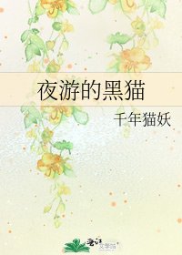 《夜游的黑猫》