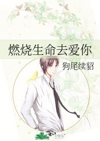 《燃烧生命去爱你》