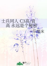《士兵同人 C3高/袁高 永远是个秘密》