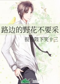 《路边的叶花不要采》