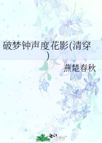 《破梦钟声度花影(清穿)》