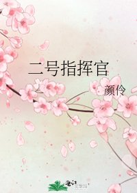 《二号指挥官》